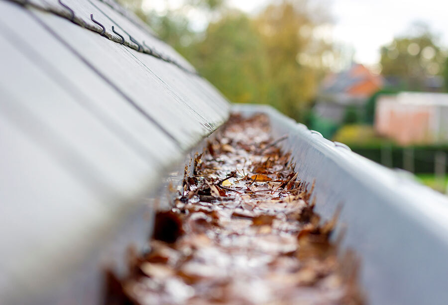 Verstopfte Dachrinne wegen Blättern